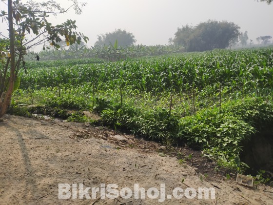 ১ দাগের ১৯৬ শতক জমি বিক্রয় হবে